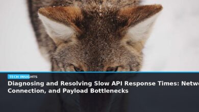 Diagnosing and Resolving Slow API Response Times: Network, Connection, and Payload Bottlenecks - editorial cover photograph