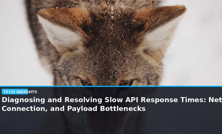 Diagnosing and Resolving Slow API Response Times: Network, Connection, and Payload Bottlenecks - editorial cover photograph